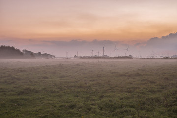 Fototapeta na wymiar Fog Over The Field