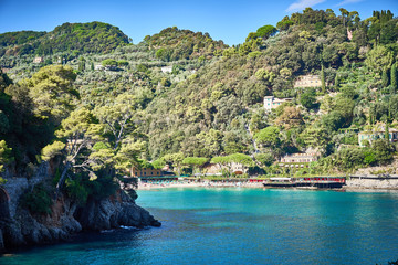 Naklejka premium Beautiful bay of 