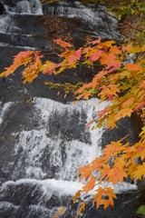 A waterfall in autumn leaves