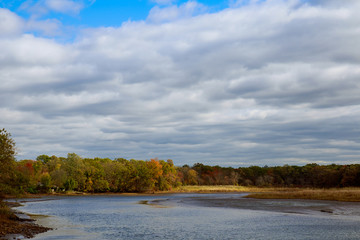 autumn landscape of river and trees without leaves blue sky  clouds on a sunny day