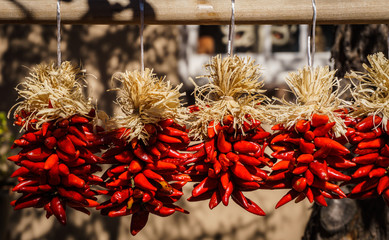 Red Peppers in Santa Fe, New Mexico