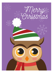Owl cartoon  icon. Christmas season card decoration and celebration theme. Colorful design. Vector illustration