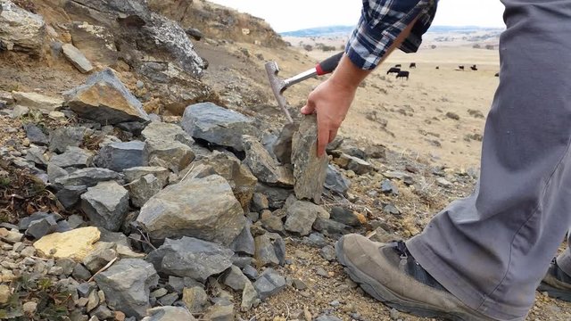Paleontology Dig Fossil Excavation and Extraction