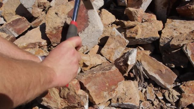 Fossil Excavation and Extraction
