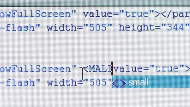Cyber Security Malicious Hacking