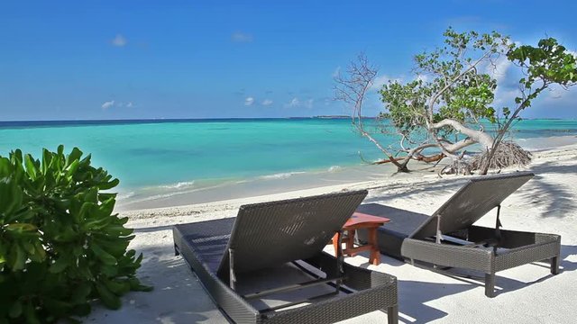 Two sun beds on the tropical beach