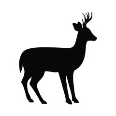 Deer icon. Animal life nature and fauna theme. Isolated design. Vector illustration