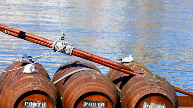 PORTO PORTUGAL MARCH 2015; Seagulls resting on the wine barrels in Porto Portugal.4K