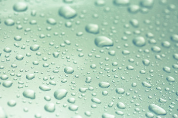 water drops on green background