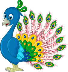 Obraz premium Peacock cartoon for you design