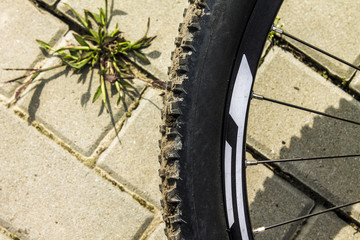 The wheel of the bicycle with mud closeup