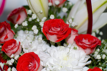 Beautiful bouquet from red roses of a lily and chrysanthemum

