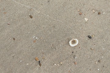 Stone,sand,shell sea water and beach with lighting in the morning