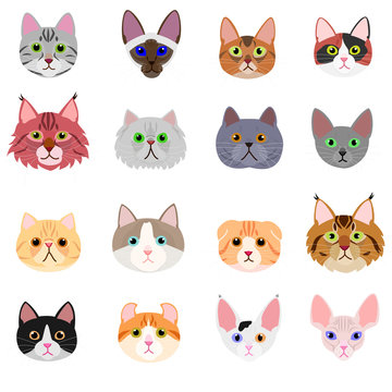 cat face set on white background