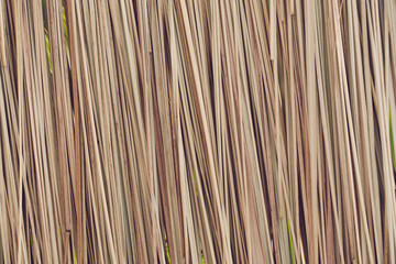 texture of Thatched from Imperata cylindrica Thailand