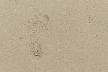 Fototapeta na wymiar footprints on the Sand. Select focus footprints 