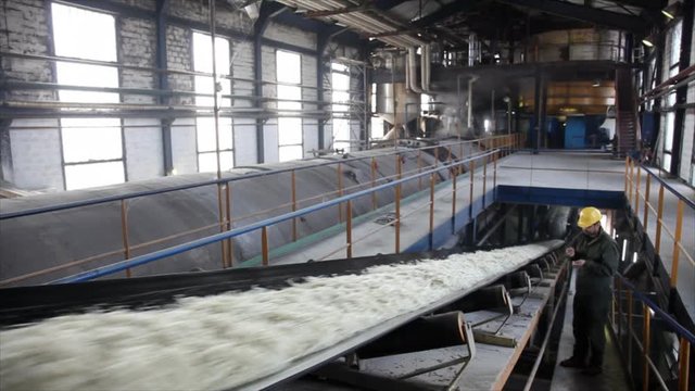 Noodles made from sugar beet on conveyor belt, worker controlling production of sugar