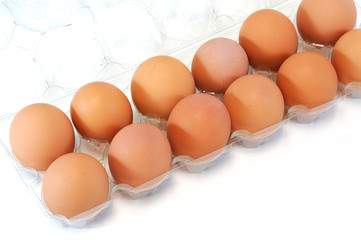 closeup on fresh egg on white background