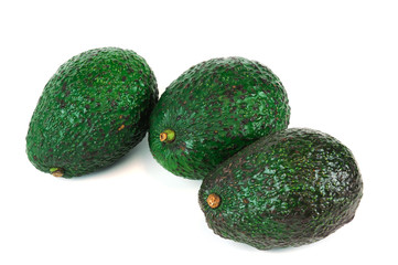 avocado on white background