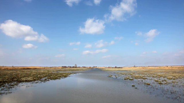 This video was supposed to show "King Pond", a huge marsh pool on Ecka, Zrenjanin, Serbia. It used to be full of fish, geese, herons and all kind of water bound birds.