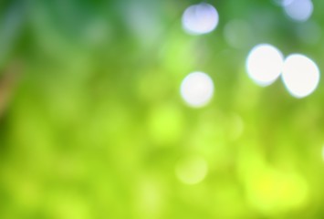 Obraz premium Bokeh naturalny kolor tła. Ciepły filtr kolorów