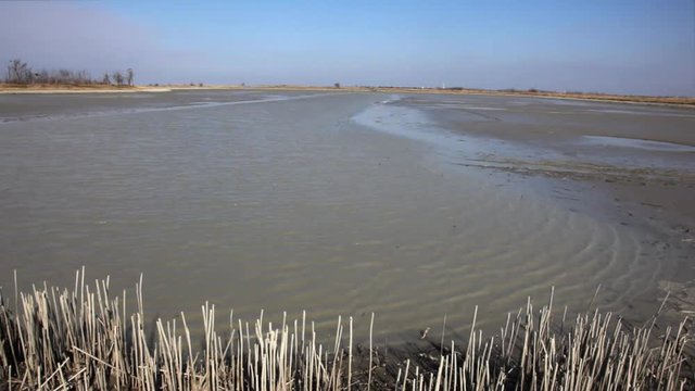 This image was supposed to show "King Pond", a huge marsh pool on Ecka, Zrenjanin, Serbia. It used to be full of fish, geese, herons and all kind of water bound birds.