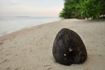 Tropical island with a beautiful beach in Indonesia. Karimunjawa.