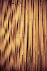 wood grungy background with space for your design