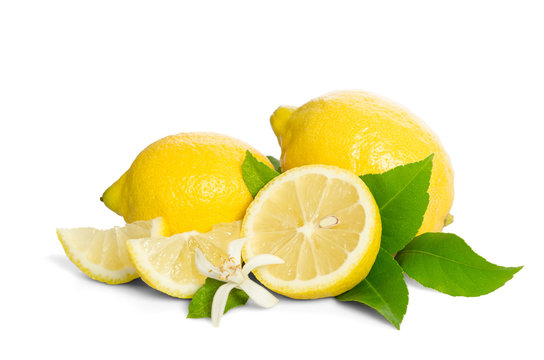 Lemons tree flower and a lemons isolated on white background