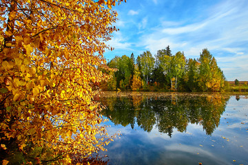 Autumn, yellow trees, water, autumn landscape
