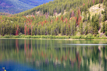 Lake in jasper