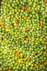 Cherry tomatoes