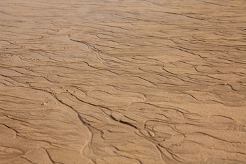 sand beach background
