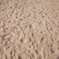 sand beach background