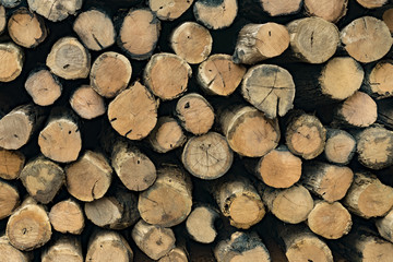 Pile of logs, Siem Reap, Angkor, Cambodia
