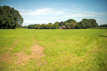 Dutch summer landscape with farm. Winterswijk. Achterhoek. Gelderland.