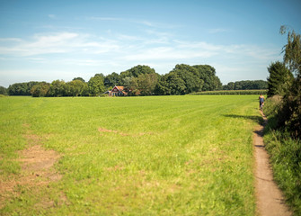 Fototapeta premium Woman cycling on small path in rural dutch landscape. Winterswijk.