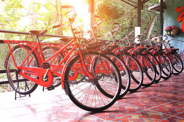 Row of red retro bicycle for rent parked among sunlight in resort at Nakhon Nayok province in Thailand