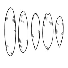 Set of surfboard silhouettes in scale,