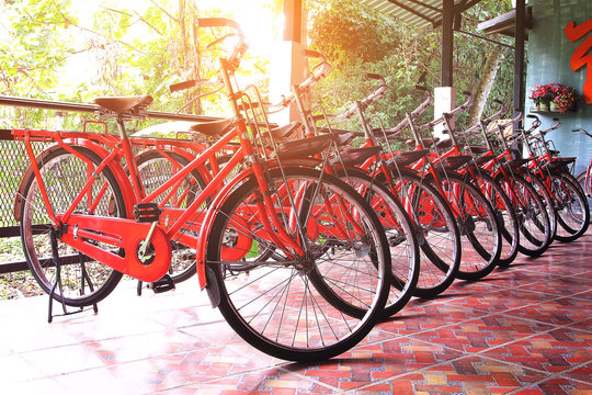 Row of red retro bicycle for rent parked among sunlight in resort at Nakhon Nayok province in Thailand