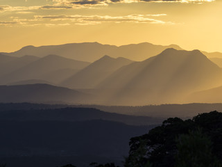 Rain forest sunset