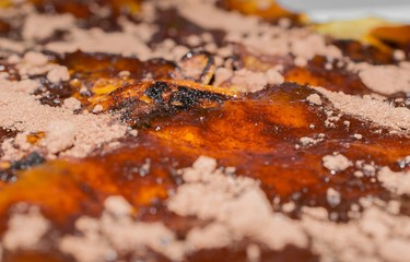 Homemade american sweet pancakes with cherry, fruit jam and cocoa background