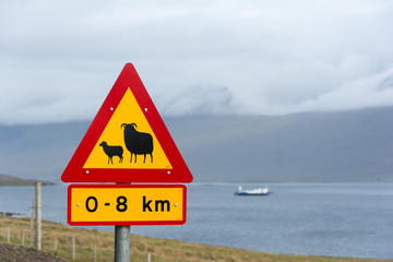 Sheep on the road roadsign in Iceland © omnesolum