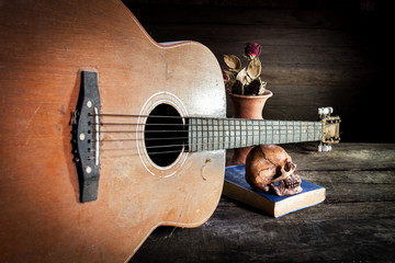 skull on blue book and old guitar,vase flower on wooden, still life
