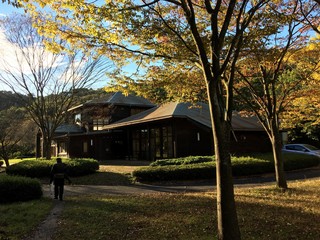 Japanese fall
