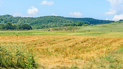 Countryside of region Horezu with hills, forests and fileds