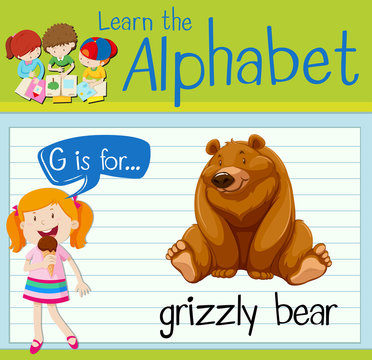 Flashcard letter G is for grizzly bear