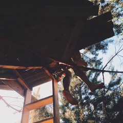 отец и ребенок сидят в домике на дереве © ali4ek