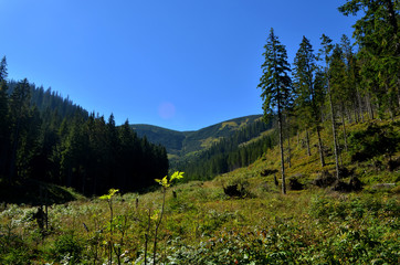 góry 