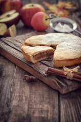 Homemade Apple tart with cinnamon and copy space
